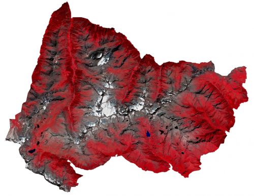 Immagine satellitare in falsi colori del Parco Nazionale del Gran Paradiso, ripresa il 23 agosto 2016. Le aree rosse e brune rappresentano la presenza di vegetazione con processi fotosintetici attivi. Le aree bianche rappresentano rocce e neve.