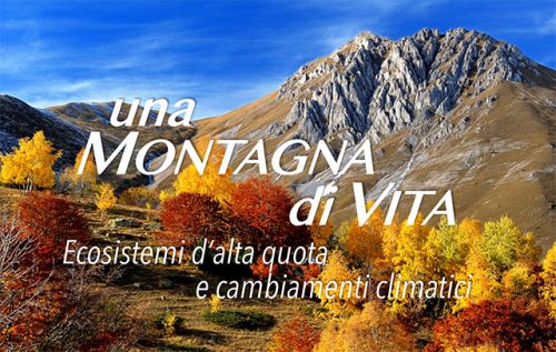 Mostra 