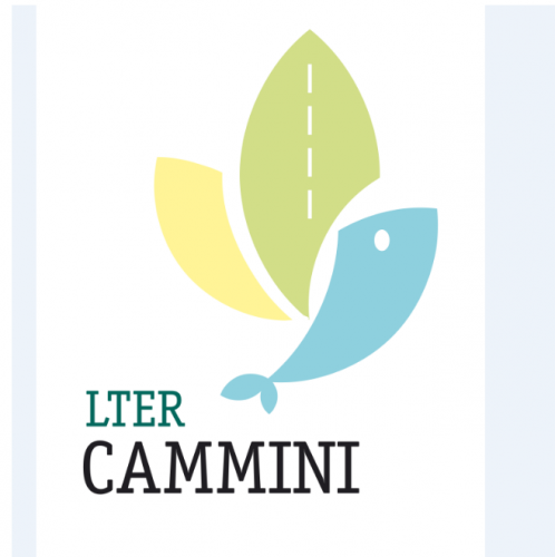  Logo CamminiLTER