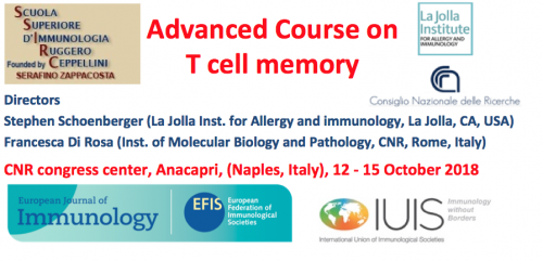 slide T cell memory, aggiornata