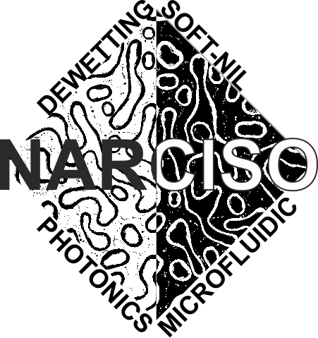 Logo del progetto