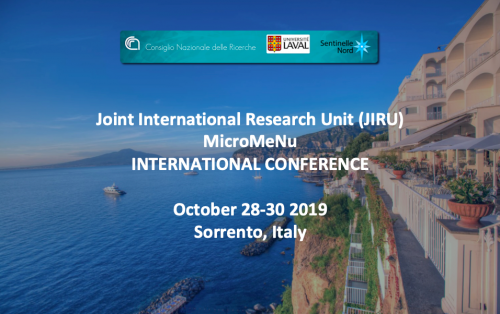 3th International conference of the Joint international research unit (Jiru)