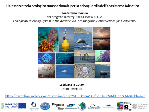 Locandina conferenza stampa progetto ECOSS