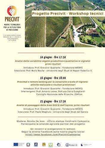 Proximal and remote sensing per la zonazione a scala di vigneto: attività realizzate e risultati
