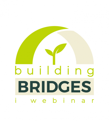 I Webinar Building BRIDGES