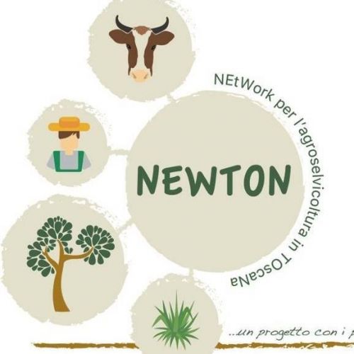Newton Network