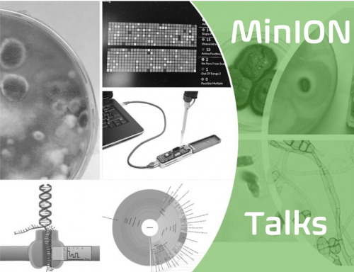 The use of third-generation sequencing (MinION) to characterize the environmental microbiota