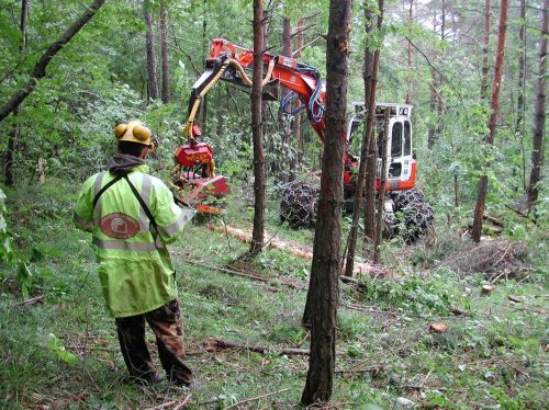 Meccanizzazione forestale/biomassa