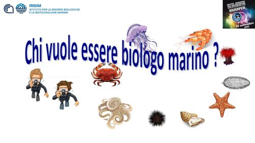 SHARPER - Notte Europea dei Ricercatori 2025: le attività di Cnr-Irbim Ancona