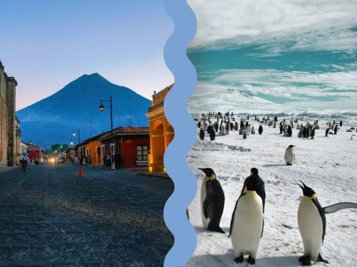 card estratto mostra Antartide in Guatemala