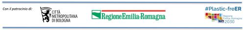 Giornata di studio co-organizzata da CNR-ISOF, SCI-Gruppo tematico risonanze magnetiche e GIDRM