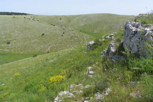 Parco Nazionale Alta Murgia, dal sito web del progetto MONALISA