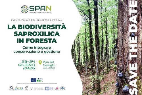 Locandina dell'evento