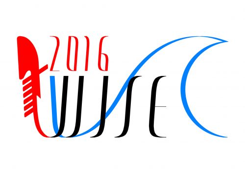 LOGO WISE Meeting 2016