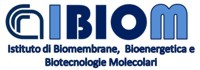 Logo Istituto di Biomembrane, Bioenergetica e Biotecnologie Molecolari (IBIOM)
