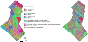 Forest biodiversity: PRISMA and Lidar revolutionize habitat monitoring