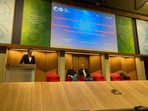 Parte il Programma di Lavoro Nazionale Raccolta Dati Alieutici (PLNRDA) per il 2025
