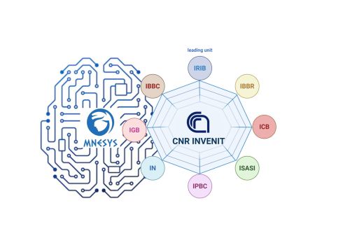 Rappresentazione grafica di 