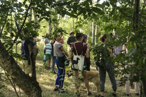 CREDITS: Futura Tittaferrante