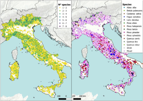 The study area with the NFI plots' locations used to initialize the model simulations. On the left is the number of species for each plot; on the right is the dominant species for each plot. Multi-species plots were labeled as 