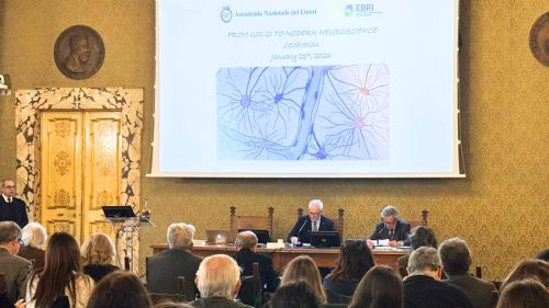 Lincei, 20 gennaio 2026