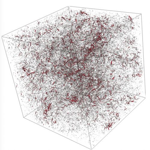 The structure of vortex filaments for a turbulent flow living on a fractal set (of dimension D< 3).