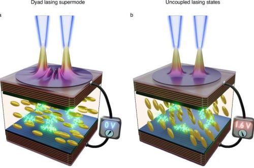 Supermodo di emissione laser di una diade controllato elettricamente (Crediti: Nature Communications, 2026)