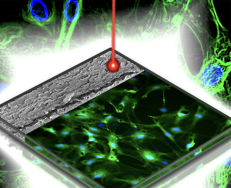 Illustrazione della piattaforma neurogliale sostenibile in grafene