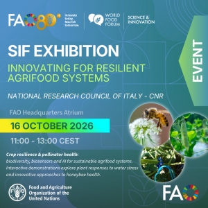 Il CNR partecipa al Science and Innovation Forum 2026 della FAO