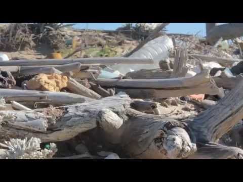 Il film Marine Rubbish selezionato alla 19^ edizione di CinemAmbiente - Environmental