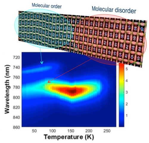 Coesistenza di regioni con differente ordine molecolare  all'origine della doppia emissione luminescente osservata a basse temperature