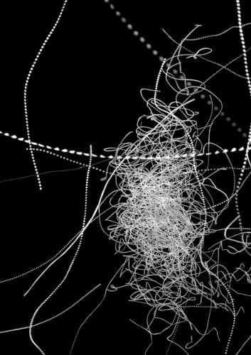 Elaborazione di uno sciame