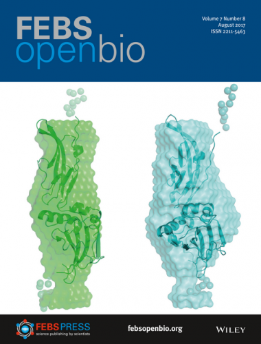 Copertina della rivista 'FEBS Open Bio' che raffigura le strutture in soluzione del distroglicano umano e murino