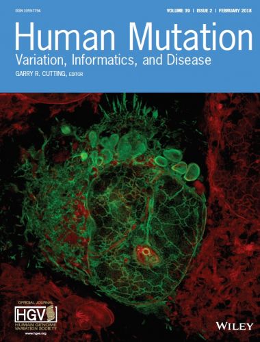 Immagine ad alta risoluzione di una cellula U2OS (osteosarcoma umano) trasfettata con il mutante del distroglicano Cys669Phe (in verde): il distroglicano mutato rimane intrappolato nel reticolo endoplasmatico (in rosso).