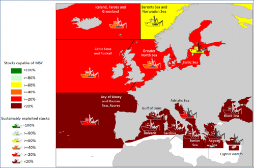 Stato degli stock in vare aree di pesca e indicazione di quanto le politiche territoriali tendono ad incontrare le condizioni di ripopolamento degli stock