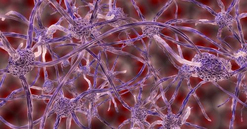 Grafica cellule nervose
