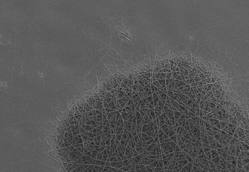 Immagine al microscopio elettronico delle nanofibre. Sono visibili due zone 'programmate' in modo diverso e poi esposte a temperature elevate. In una zona le nanofibre sono rimaste intatte, nell'altra si sono sciolte formando una pellicola uniforme