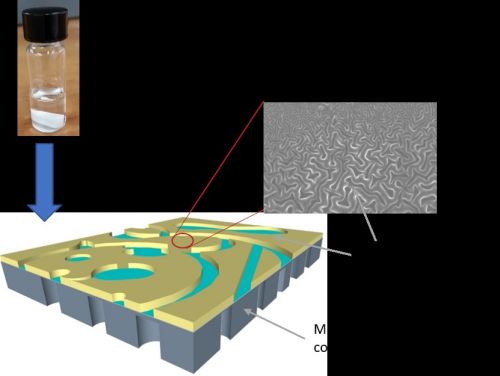 Morfologia del coating PBM applicato su una membrana commerciale