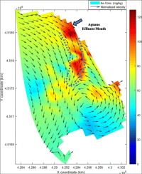Campo di velocità integrato in profondità mediato nel tempo e distribuzione arsenico. (Per l'interpretazione dei riferimenti al colore in questa figura, si rimanda il lettore all' articolo pubblicato)