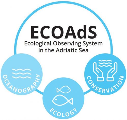 Schema ECOAdS con principali azioni dell'Osservatorio