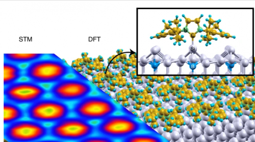 Small carbene molecules attach to silicon adatoms on a passivated Si(111) surface, forming an ordered molecular layer