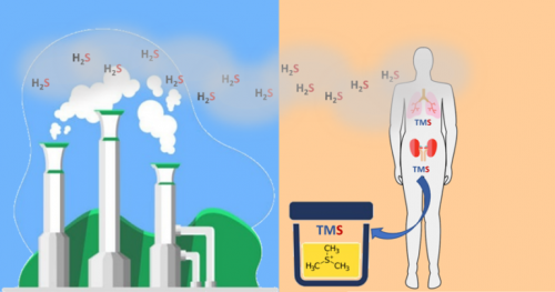 TIOSOLFATO: Il biomarcatore impiegato per tracciare l'idrogeno solforato derivante da attività industriale ed emissioni naturali.