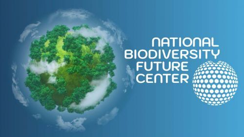 Logo NBFC (Centro Nazionale sulla Biodiversità)