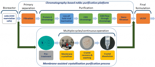 Basic concept of membrane-based versus chromatography-based DSP purification of mAbs