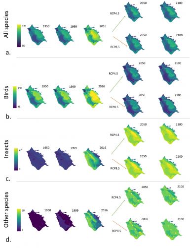 Distribuzioni spaziali della ricchezza di specie nel bacino del Lago di Massaciuccoli, dal 1950 al 2100 e negli scenari di emissione di gas serra RCP4.5 and RCP8.5, di (a) tutte le 180 specie animali considerate, (b) gli uccelli, (c) gli insetti ed (d) al
