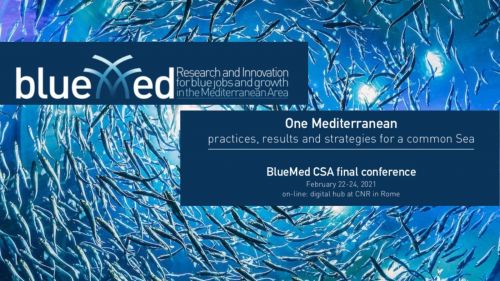 BlueMed final conference