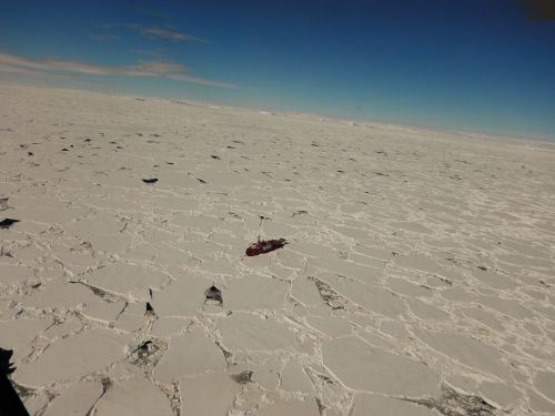 Immagine dell'imbarcazione Astrolabe bloccata nei ghiacci