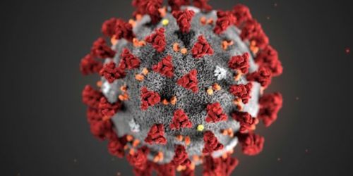 Primi contagi di CORONAVIRUS a Bologna