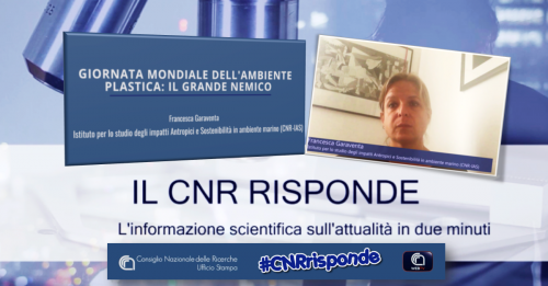 #CNRrisponde
