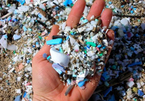 Microplastiche (credits: Greenpeace)